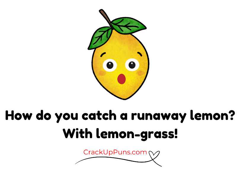 your favorite lemon puns