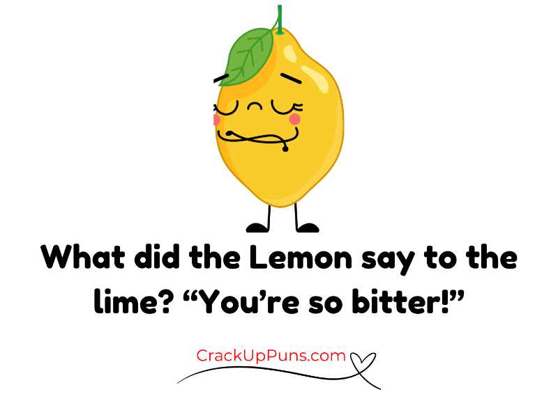 best funny lemon puns