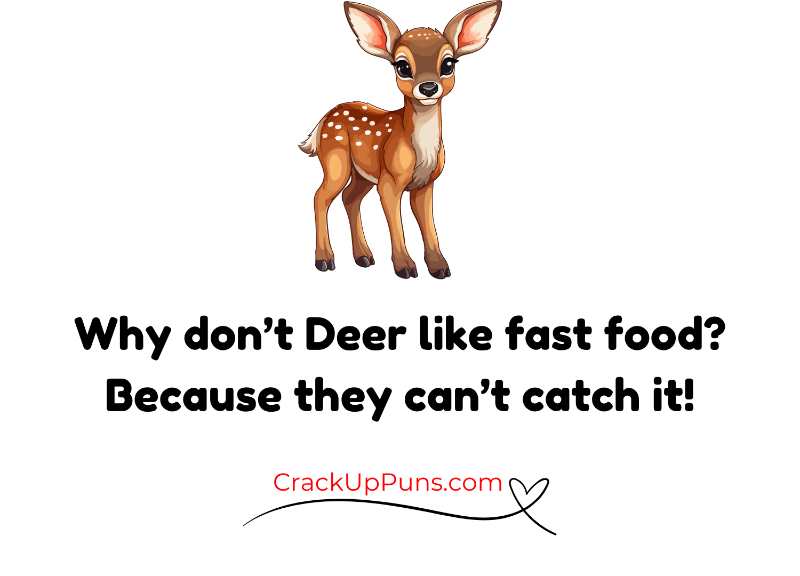 funny deer puns for kids