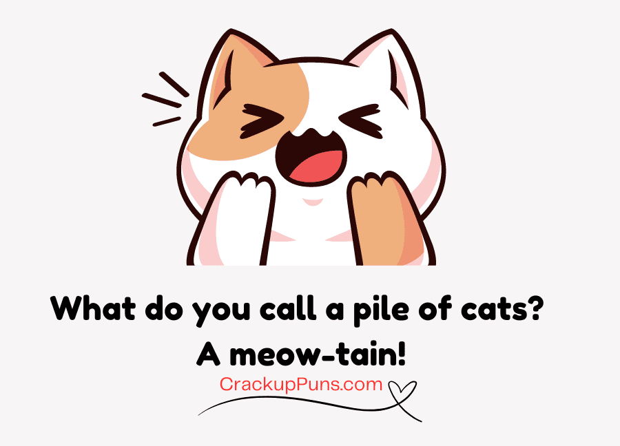 funny cat puns