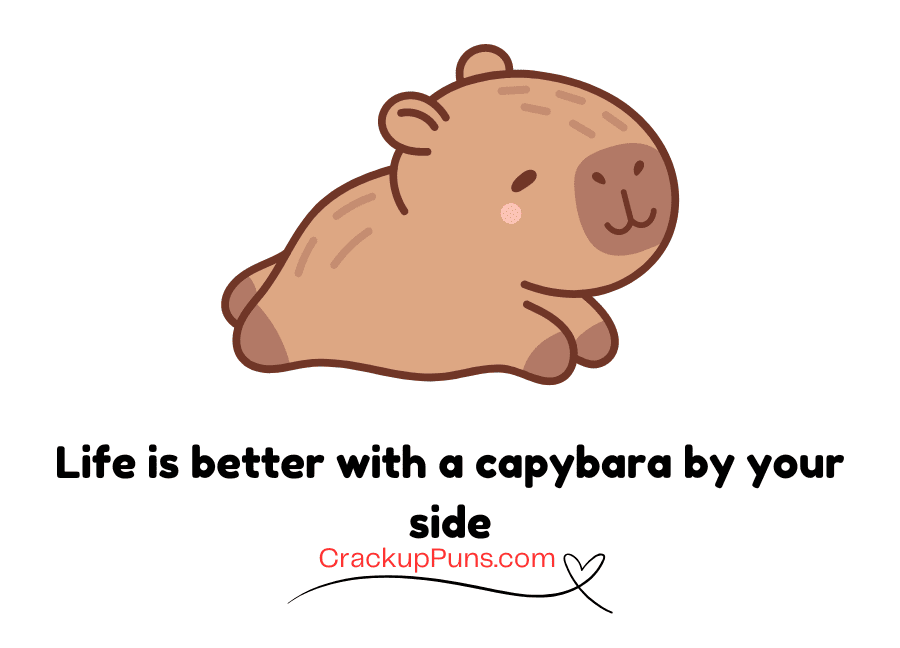 capybara life