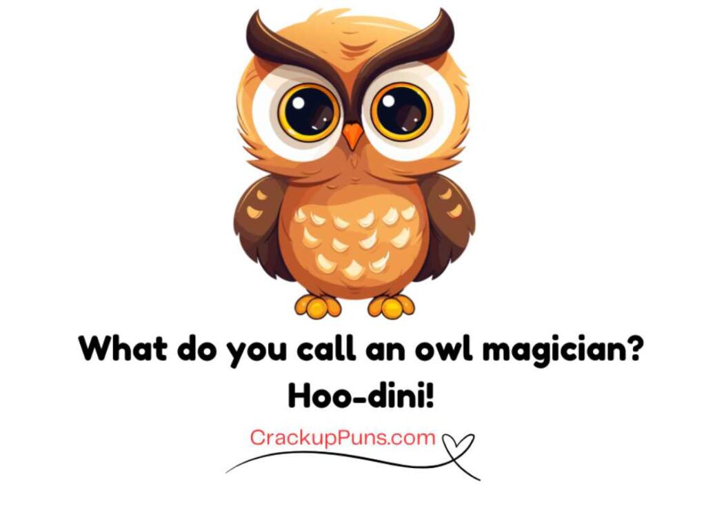 funny owl puns