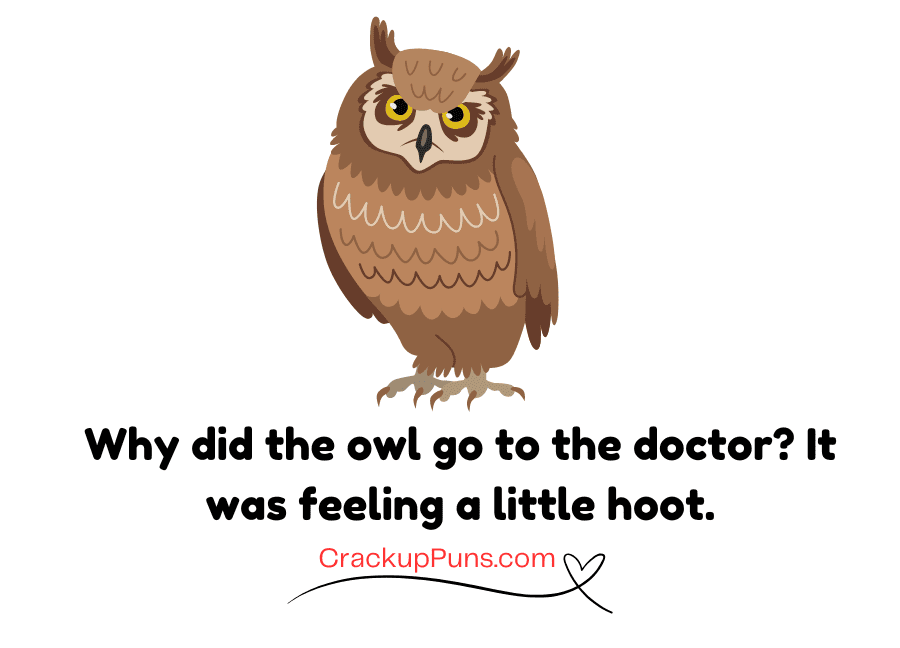 hilarious owl jokes