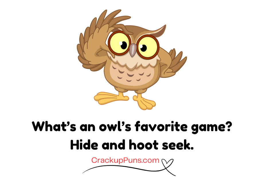creative funny owl puns