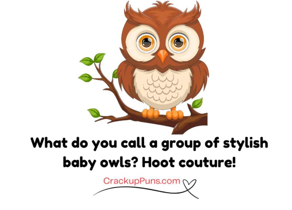 funny owl puns for kids