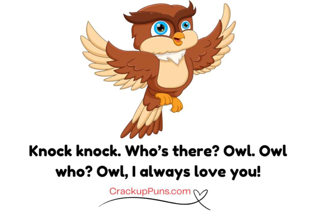 interactive funny owl puns