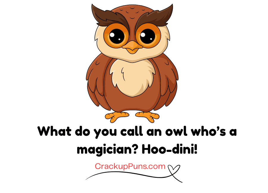 funny owl jokes