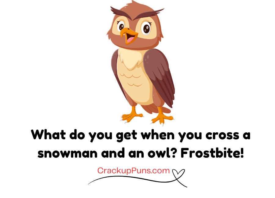 dad jokes funny owl puns