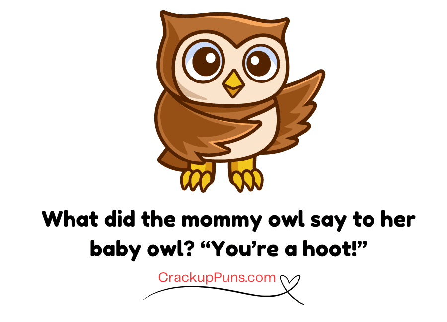 creative funny owl puns