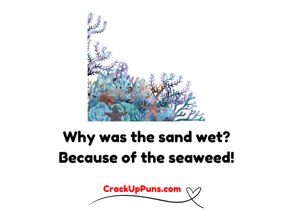 funny ocean puns
