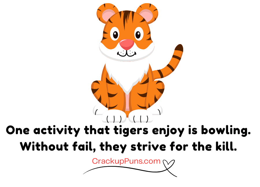 tiger puns will make your day tiger puns will make your day
