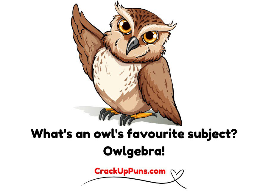 owl puns
