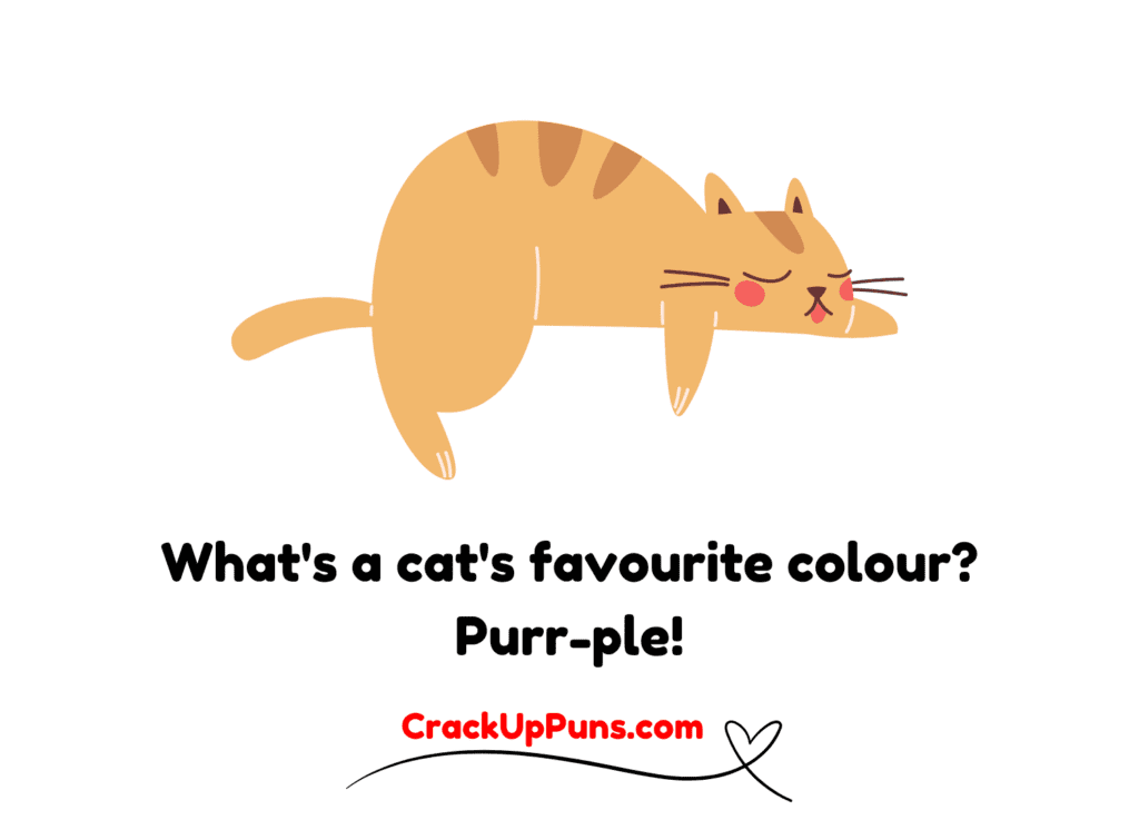 cat puns