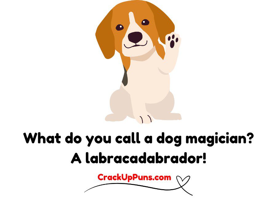 dog puns