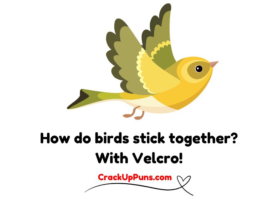 bird puns
