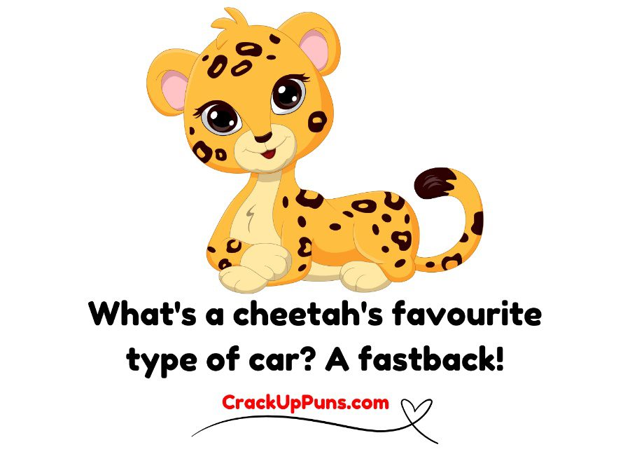 cheetah puns