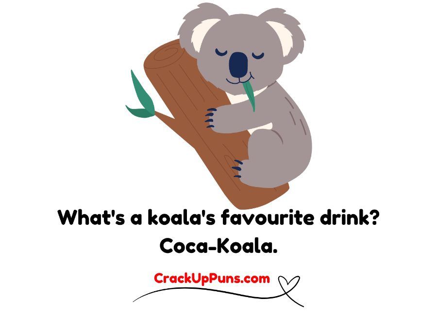 koala puns
