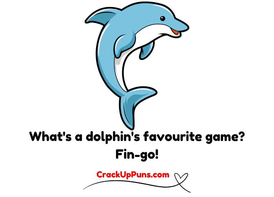 dolphin puns
