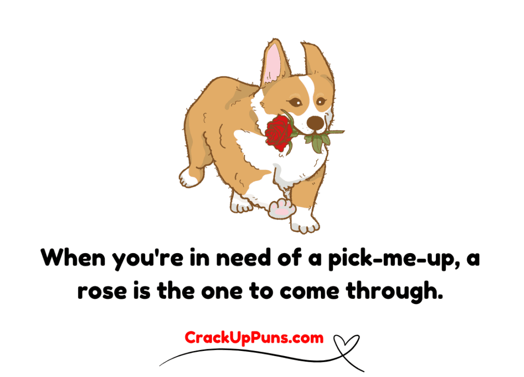 rose flower puns
