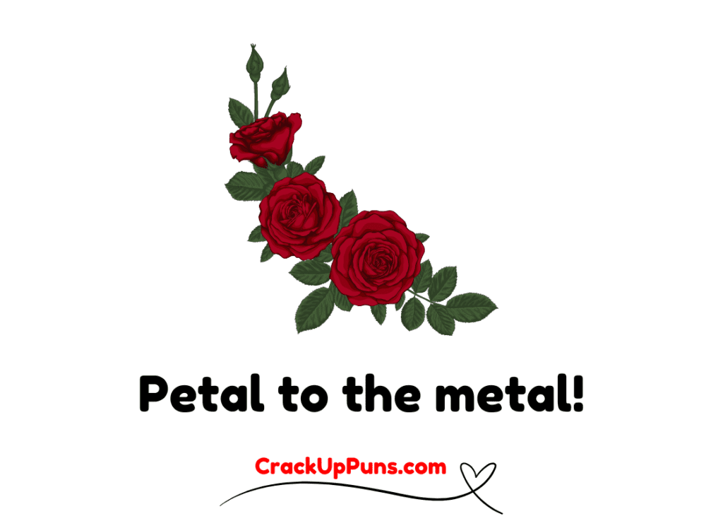 petal puns
