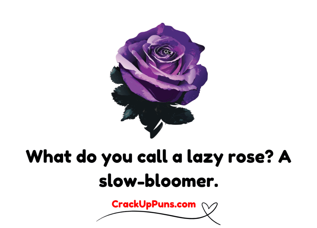 funny rose jokes
