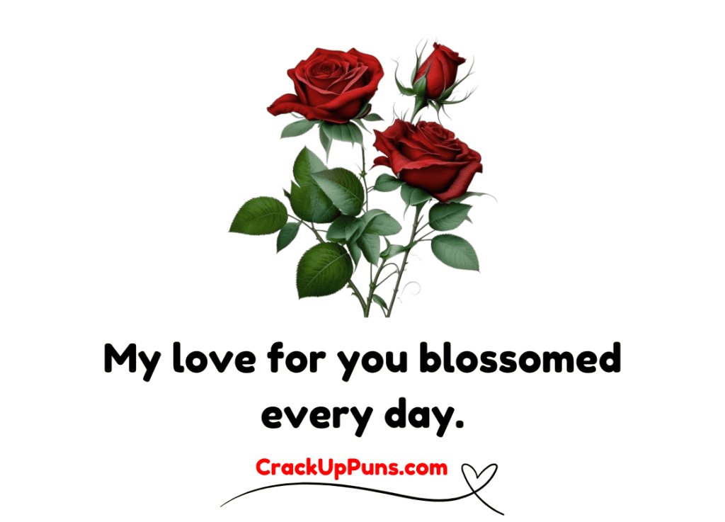 romantic rose puns
