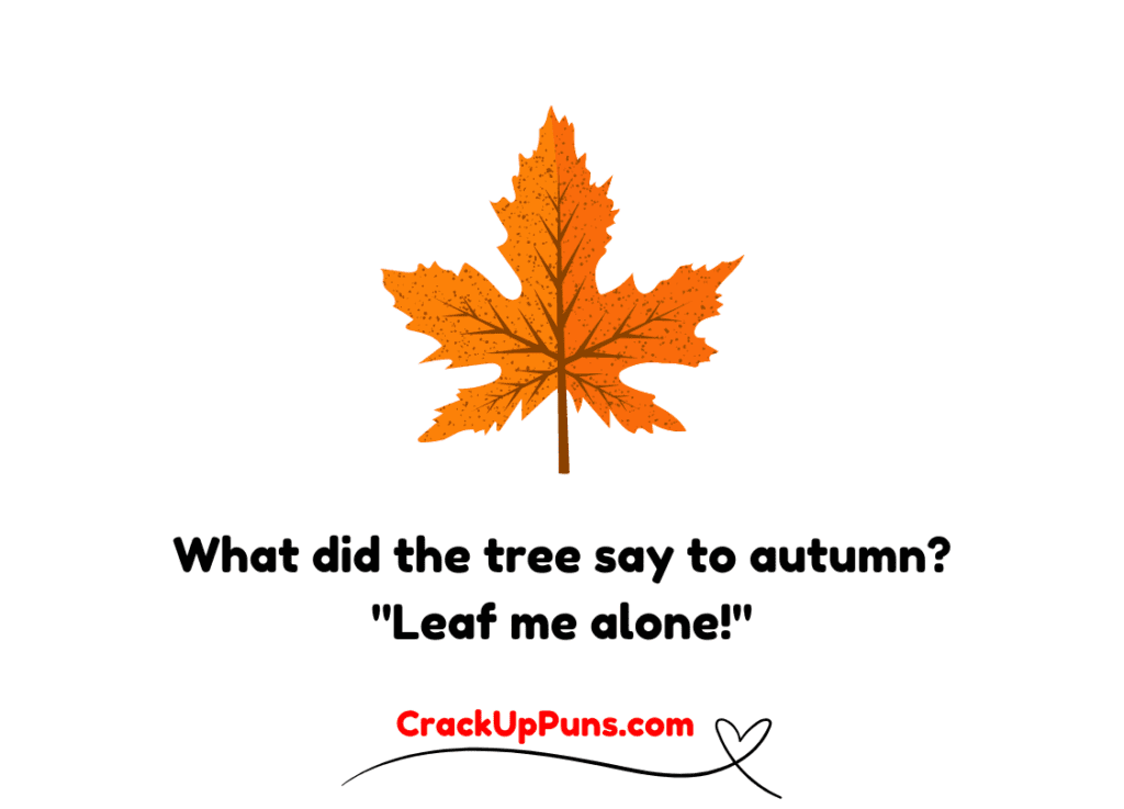 funny tree puns
