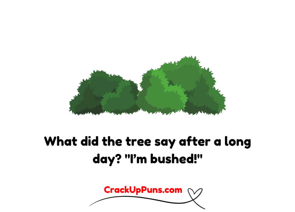 dad jokes
