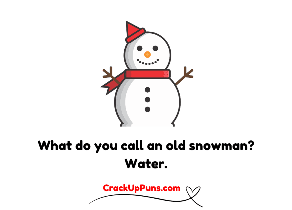 best cold puns

