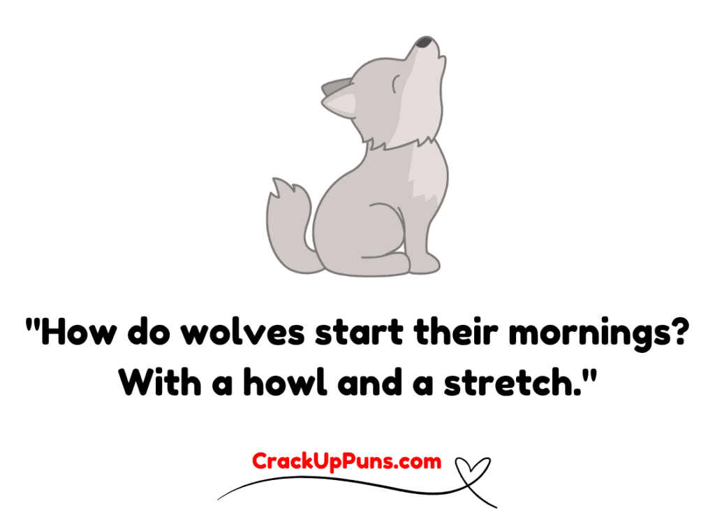 wolf puns
