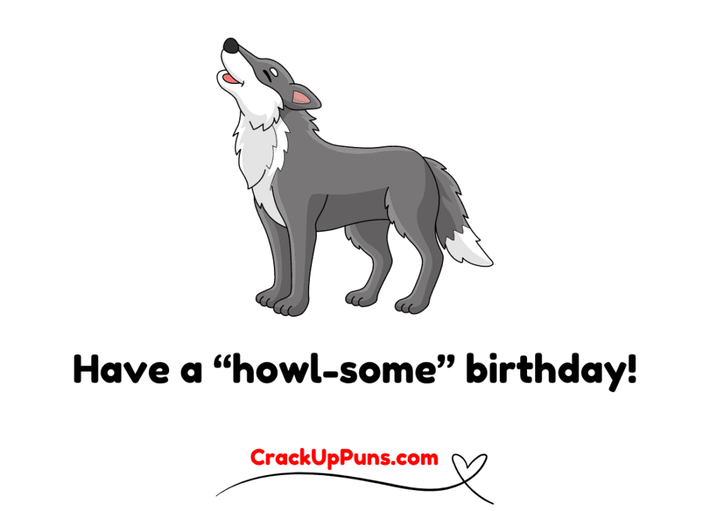 wolf birthday puns
