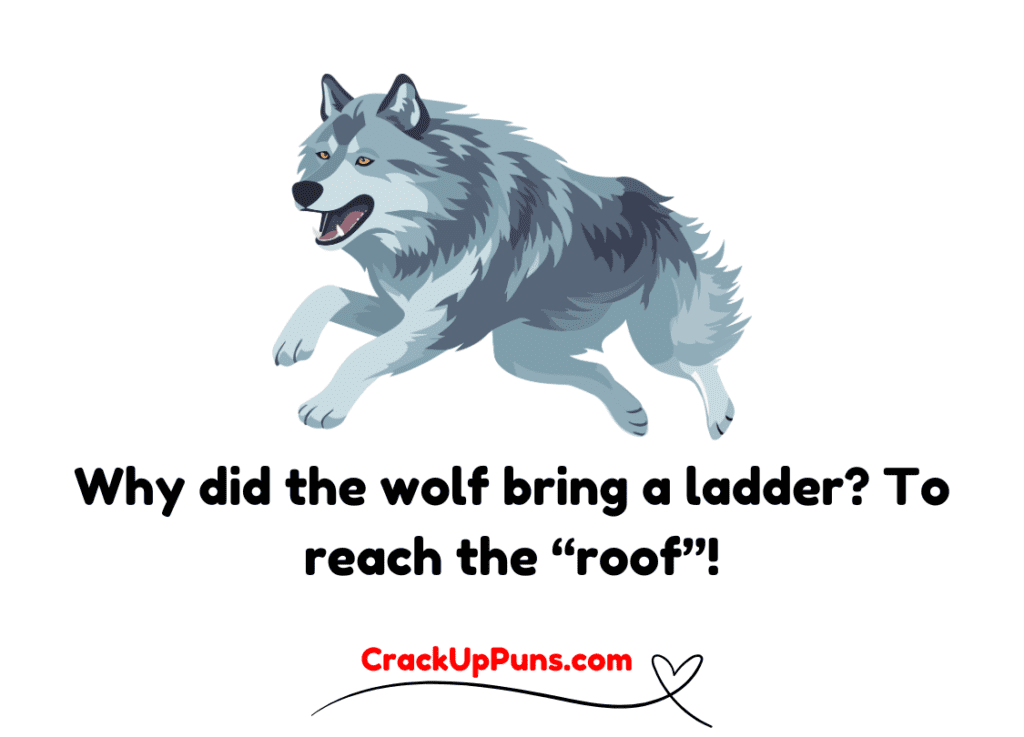 dad jokes
