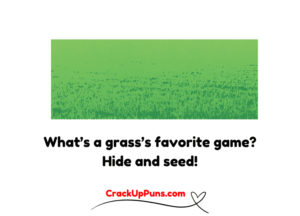 Grass Jokes for Kids