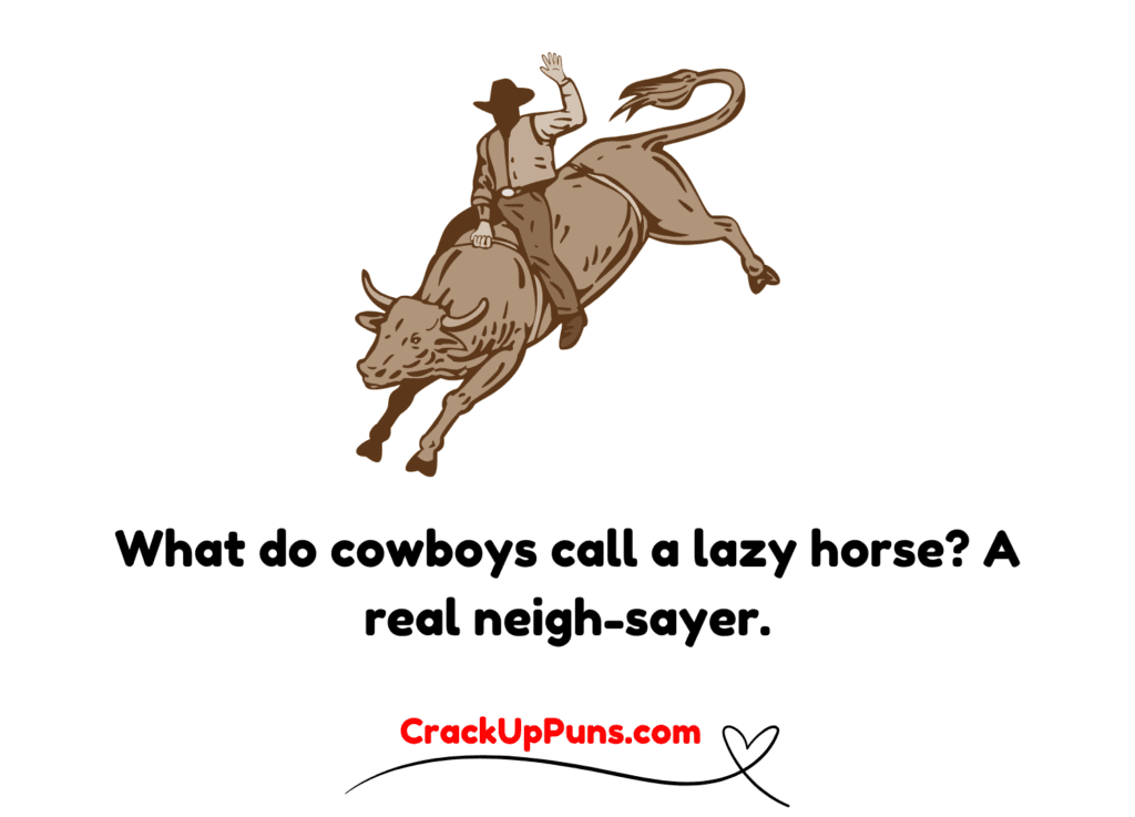 cowboy animal puns
