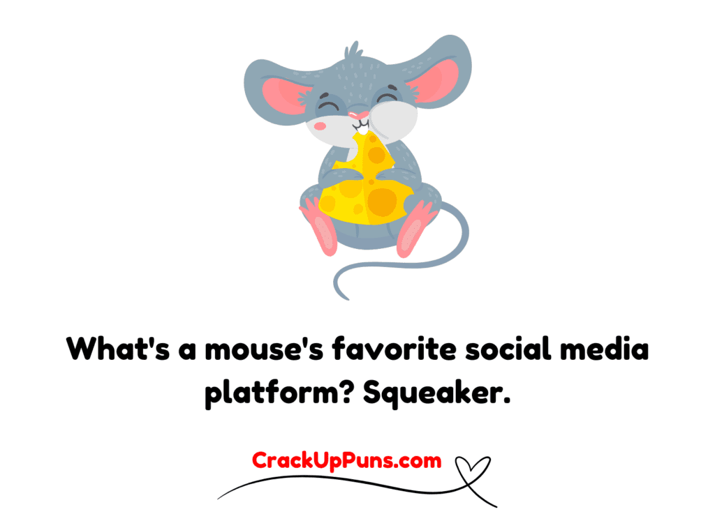 Mouse and Tech
