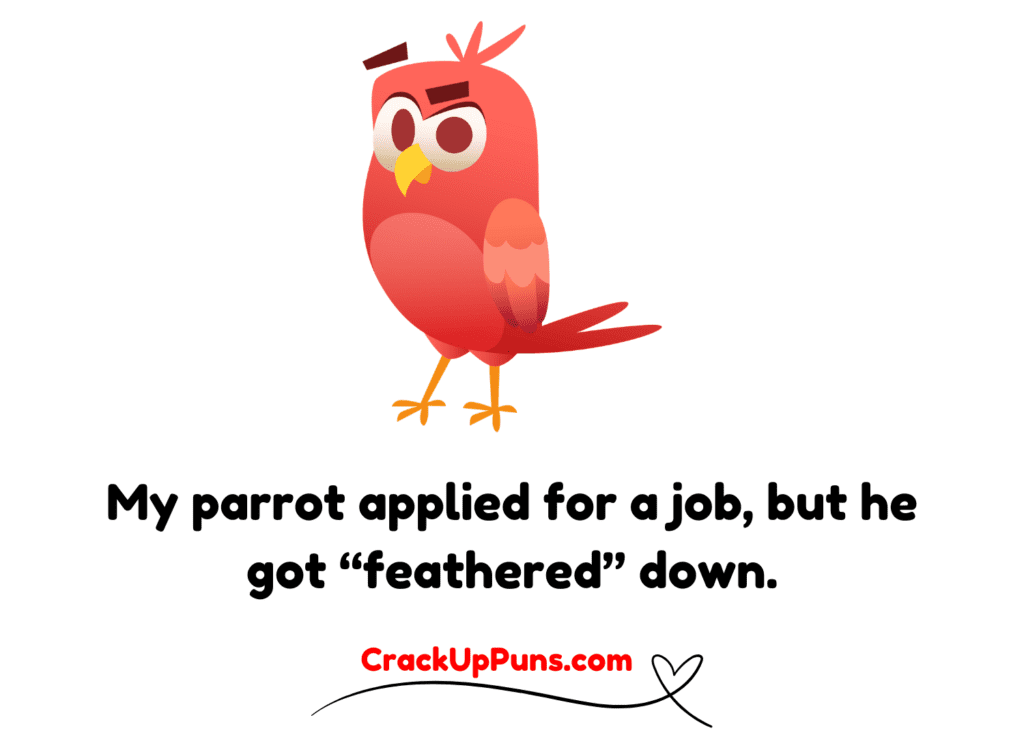 one-liner parrot puns
