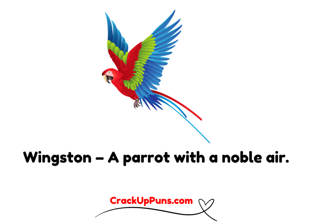 parrot puns
