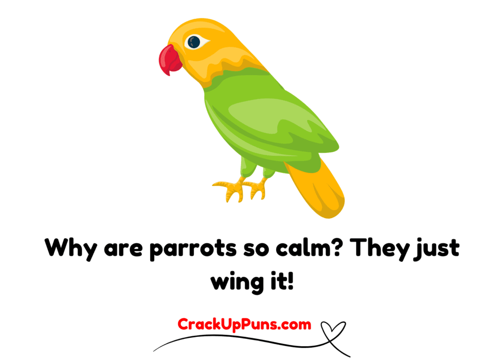 creative parrot puns
