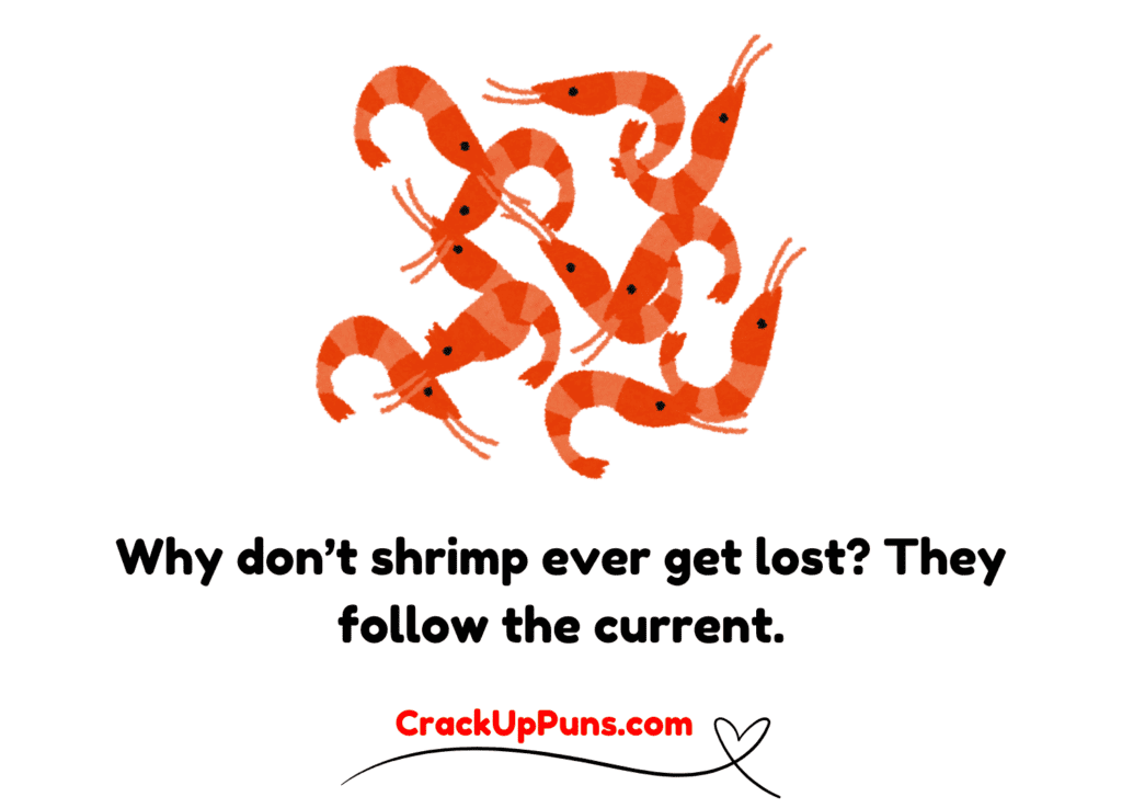 shrimp dad jokes
