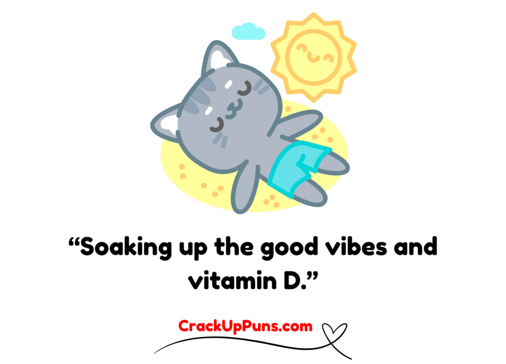 sun puns
