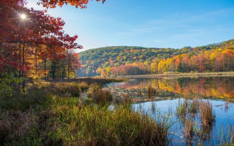 The hidden gems of Vestal, from peaceful parks and scenic trails to cozy eateries and local favorites.
