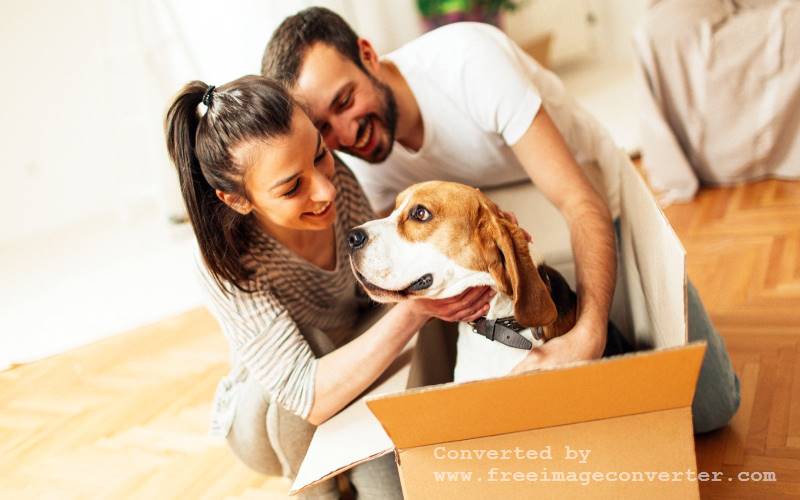 Show your love for your pet in style with personalized accessories, cozy outfits, and custom gear.