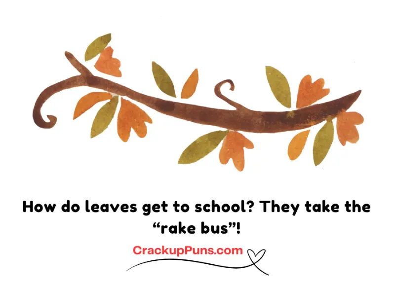 How do leaves get to school? They take the “rake bus”!