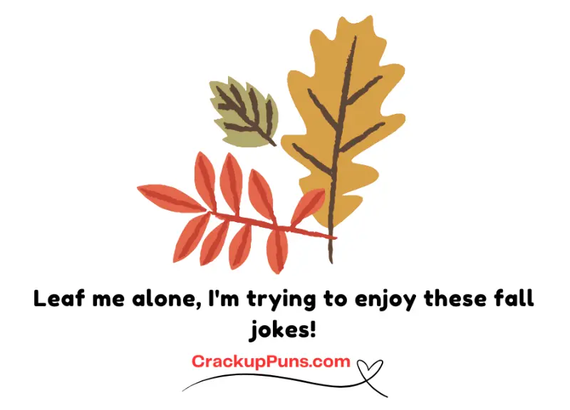 Leaf me alone, I'm trying to enjoy these fall jokes!