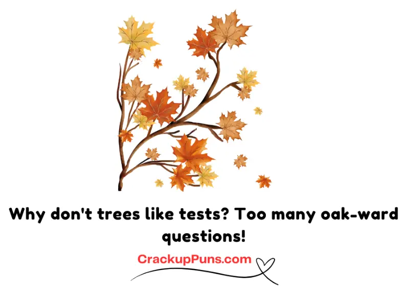 Why don't trees like tests? Too many oak-ward questions!