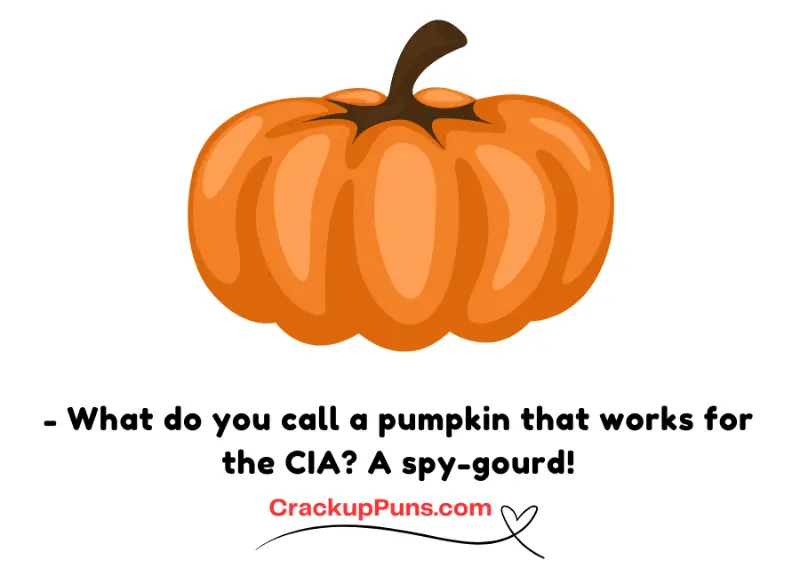 - What do you call a pumpkin that works for the CIA? A spy-gourd!
