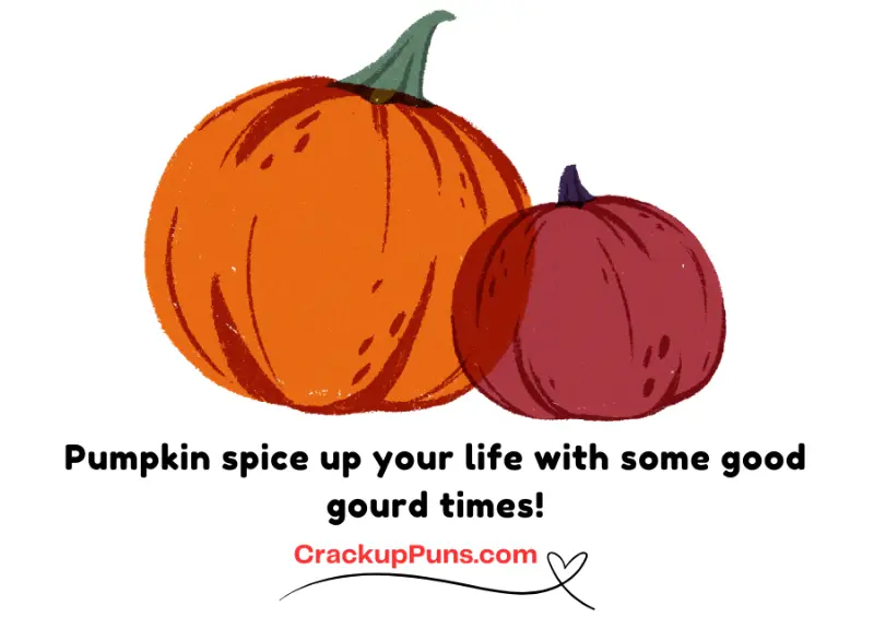 Pumpkin spice up your life with some good gourd times!