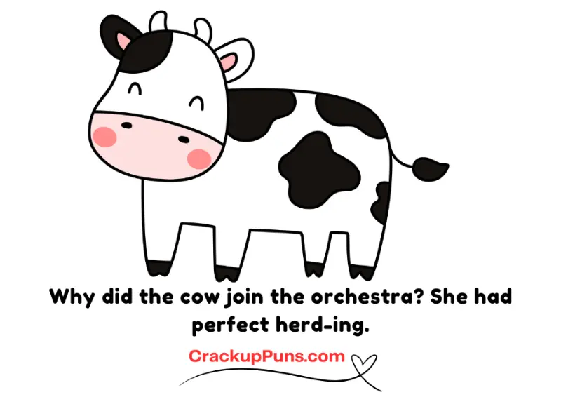 cow puns