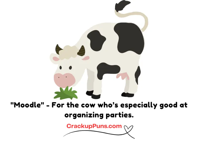 "Moodle" - For the cow who’s especially good at organizing parties.