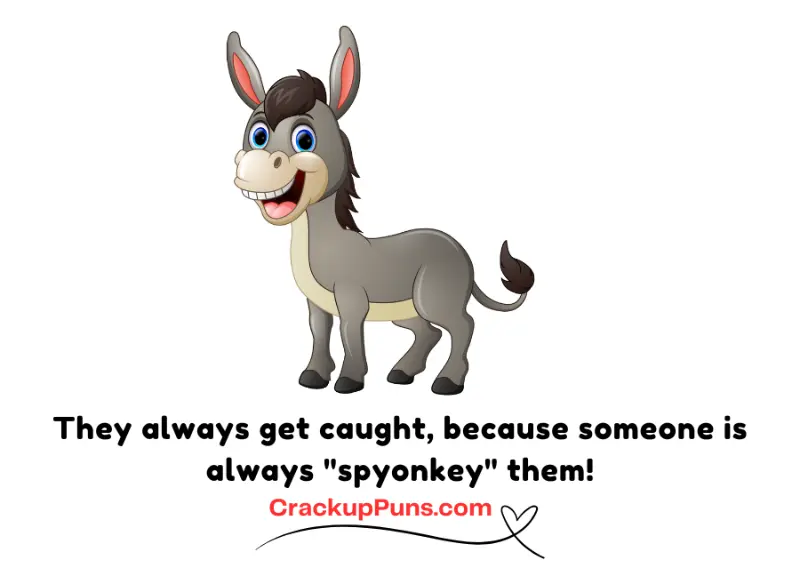 donkey puns